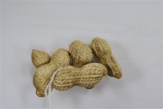 A Japanese Meiji period carved ivory group of peanuts, 5.5cm